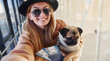 Viajes Pet Friendly